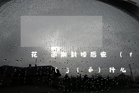 花唄逾期封掉后恢復(fù)了(花唄逾期被凍結(jié)什么時候可以恢復(fù)正常)