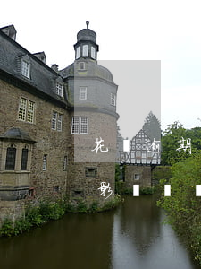 花唄逾期對(duì)個(gè)人征信有影響嗎?對(duì)考小車駕照有影響嗎?（花唄逾期可以學(xué)駕照嗎）