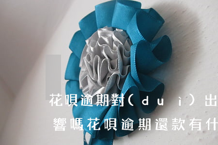 花唄逾期對(duì)出國(guó)有影響嗎(花唄逾期還款有什么影響?你敢不還款嗎)