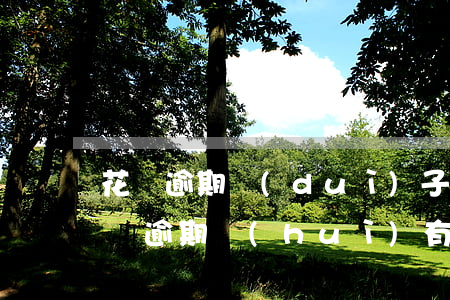 花唄逾期對(duì)子女有影響么(淘寶花唄逾期會(huì)有什么后果)