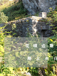 花唄逾期對(duì)征信有影響么(花唄逾期上央行征信嗎?花唄逾期有什么后果)