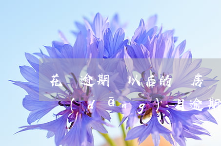花唄逾期對以后的買房辦事有什么影響?（花唄當(dāng)月逾期會影響辦理房貸嗎）