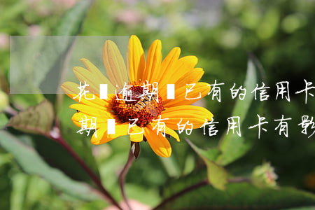 花唄逾期對已有的信用卡有影響嗎-花唄逾期對已有的信用卡有影響嗎怎么辦
