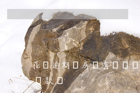 花唄逾期對房貸有問題嗎(借唄逾期影響買房貸款嗎?)