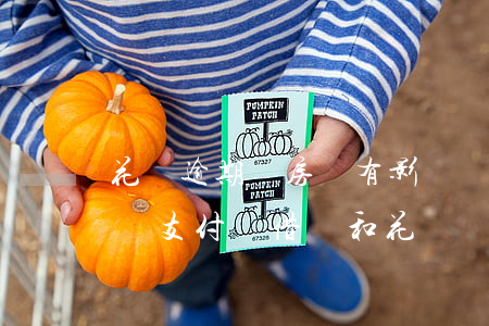 花唄逾期對房貸有影響嗎(銀行貸款逾期會影響支付寶借唄和花唄嗎?)