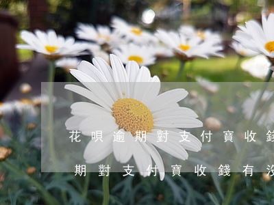 花唄逾期對支付寶收錢有沒有影響-花唄逾期對支付寶收錢有沒有影響呢