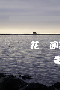 花唄逾期對政審有影響嗎(公務(wù)員政審會查花唄嗎)