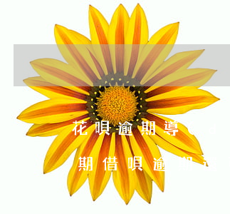 花唄逾期導(dǎo)致借唄逾期-花唄逾期借唄逾期還可以辦信用卡嗎