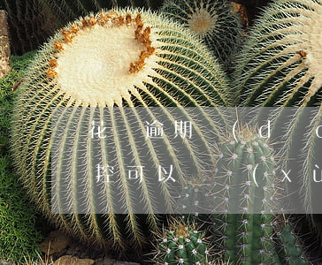 花唄逾期導(dǎo)致的風(fēng)控可以繼續(xù)用嗎-花唄逾期導(dǎo)致的風(fēng)控可以繼續(xù)用嗎安全嗎