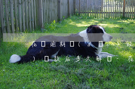 花唄逾期導(dǎo)致花唄凍結(jié)還款后多久解凍-花唄逾期導(dǎo)致花唄凍結(jié)還款后多久解凍啊