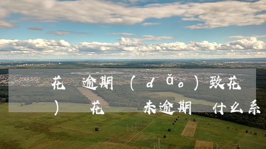 花唄逾期導(dǎo)致花唄關(guān)閉(花唄從未逾期,為什么系統(tǒng)直接關(guān)閉了)