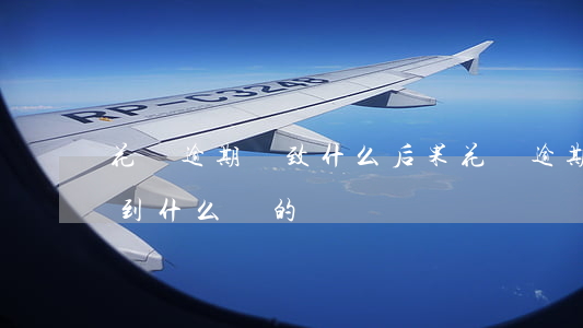 花唄逾期導致什么后果(花唄逾期不還款會受到什么樣的懲罰)