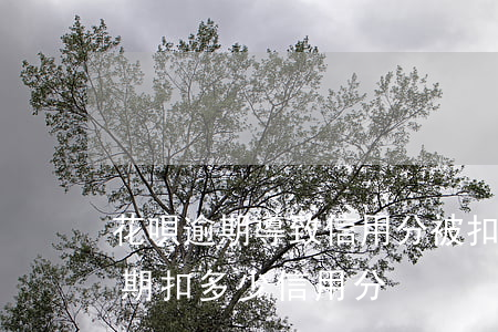 花唄逾期導致信用分被扣20多分-花唄逾期扣多少信用分 花唄逾期導致信用分被扣20多分-花唄逾期扣多少信用分