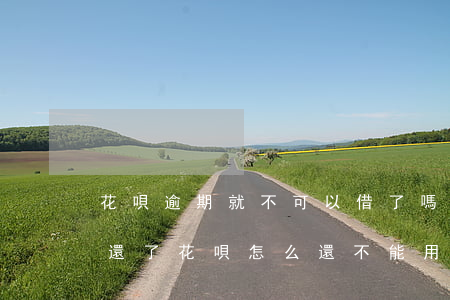 花唄逾期就不可以借了嗎(借唄不小心逾期了,還了,花唄怎么還不能用)