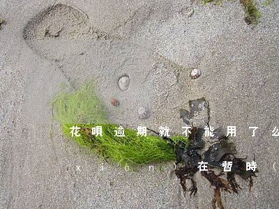 花唄逾期就不能用了么(花唄之前逾期了,現(xiàn)在暫時(shí)不能使用,有)