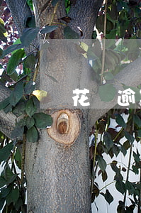 花唄逾期居然上門了-花唄逾期居然上門了