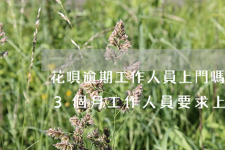 花唄逾期工作人員上門嗎(借唄花唄逾期5萬3個月,工作人員要求上門拜訪,是真的嗎)