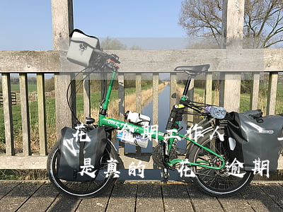 花唄逾期,工作人員說上門調(diào)查,是真的嗎（花唄逾期說會上門核實）