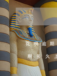 花唄逾期已經(jīng)上征信嗎(花唄逾期多久上征信嗎?花唄逾期有什么后果)