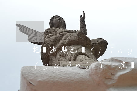 花唄逾期已經(jīng)還了借唄給我關(guān)了-花唄逾期已經(jīng)還了借唄給我關(guān)了怎么辦