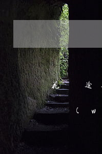 花唄逾期已還完不能使用(花唄顯示逾期,花唄無(wú)法使用了,怎么還款)