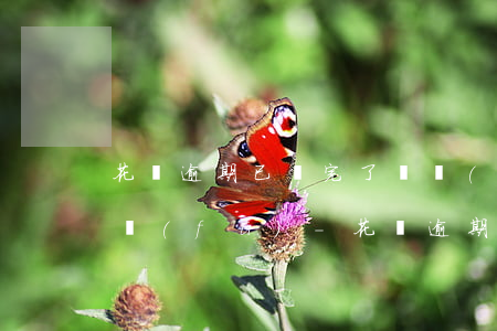 花唄逾期已還完了,凍結(jié)了怎么恢復(fù)-花唄逾期已還完了,凍結(jié)了怎么恢復(fù)使用