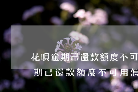 花唄逾期已還款額度不可用怎么辦-花唄逾期已還款額度不可用怎么辦呢