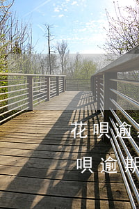 花唄逾期已還清還會(huì)被起訴嗎(花唄逾期被起訴中還清 還需要開庭嗎)