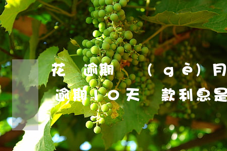 花唄逾期幾個(gè)月利息多少(花唄如果逾期10天還款,利息是多少錢)