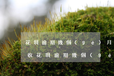 花唄逾期幾個(gè)月會(huì)被催收(花唄逾期幾個(gè)月會(huì)有什么后果,有獎(jiǎng)問(wèn)答)