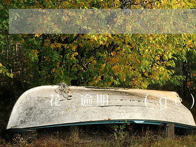 花唄逾期幾個(gè)月還上了還能用嗎-