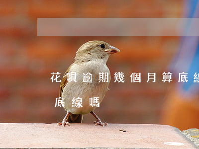 花唄逾期幾個月算底線嗎(花唄逾期幾個月算底線嗎) 花唄逾期幾個月算底線嗎(花唄逾期幾個月算底線嗎)