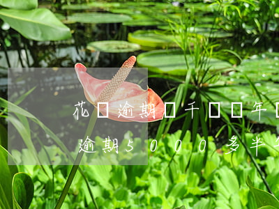 花唄逾期幾千塊兩年會被起訴嗎 支付寶花唄逾期5000多半年真的會被起訴嗎?