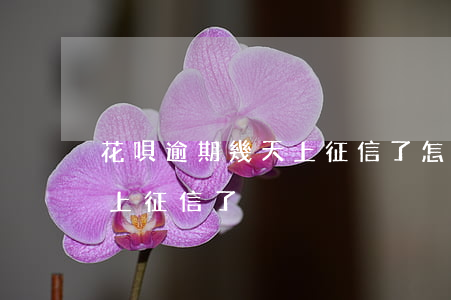 花唄逾期幾天上征信了怎么辦（花唄逾期幾天上征信了）