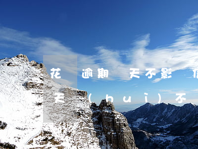 花唄逾期幾天不影響信用(支付寶花唄逾期幾天會(huì)不會(huì)影響信用)