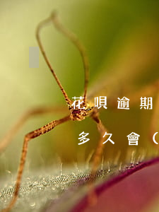花唄逾期幾天人工來(lái)電(花唄逾期多久會(huì)打電話,是從哪里打來(lái)的)