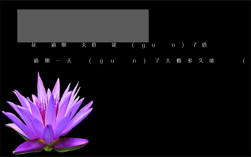 花唄逾期幾天借唄就關(guān)了(借唄逾期一天關(guān)了大概多久能繼續(xù)使用)