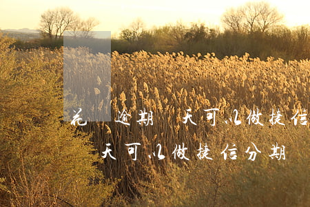 花唄逾期幾天可以做捷信分期嗎-花唄逾期幾天可以做捷信分期嗎