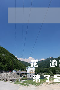 花唄逾期幾天可以再還嗎(花唄逾期幾天后還清了是不是就沒事了)