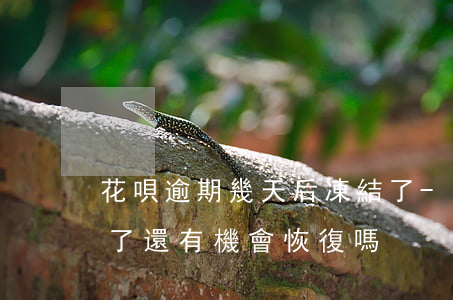 花唄逾期幾天后凍結了-花唄因逾期被凍結了還有機會恢復嗎