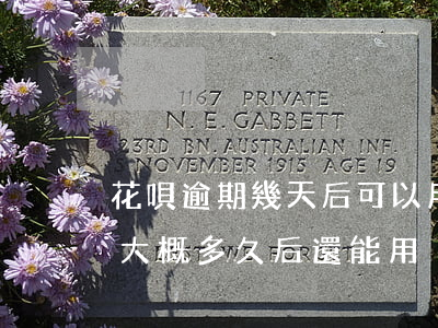 花唄逾期幾天后可以用(花唄逾期后不能使用,大概多久后還能用)