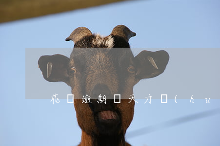 花唄逾期幾天才會(huì)上征信