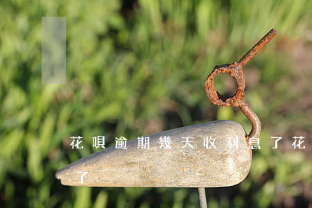 花唄逾期幾天收利息了（花唄逾期幾天收利息了）
