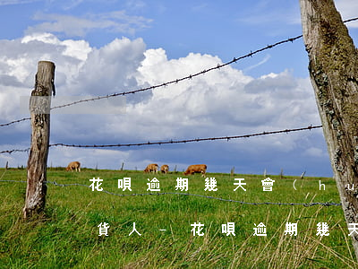 花唄逾期幾天會(huì)打電話給淘寶收貨人-花唄逾期幾天會(huì)打電話給淘寶收貨人嗎