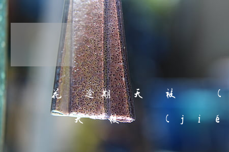 花唄逾期幾天會被凍結(jié)(花唄逾期幾天會被凍結(jié))