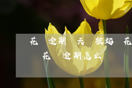 花唄逾期幾天會被起訴(花唄逾期多久會被起訴?花唄逾期怎么辦)