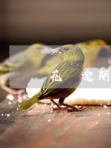 花唄逾期幾天有影響么