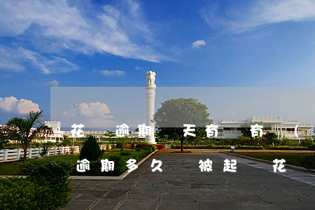 花唄逾期幾天有沒有關(guān)系(花唄逾期多久會被起訴?花唄逾期怎么辦)