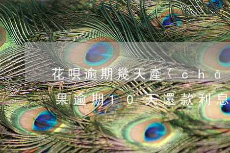 花唄逾期幾天產(chǎn)生利息(花唄如果逾期10天還款,利息是多少錢)