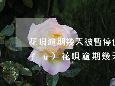 花唄逾期幾天被暫停使用要多久才能恢復(fù)（花唄逾期幾天被關(guān)閉了）